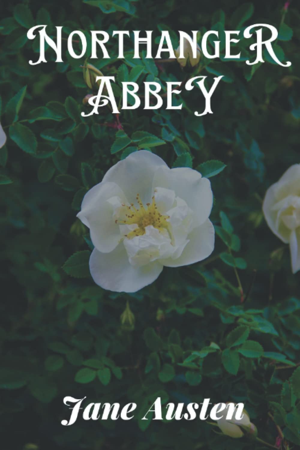 Northanger Abbey: with original illustrations