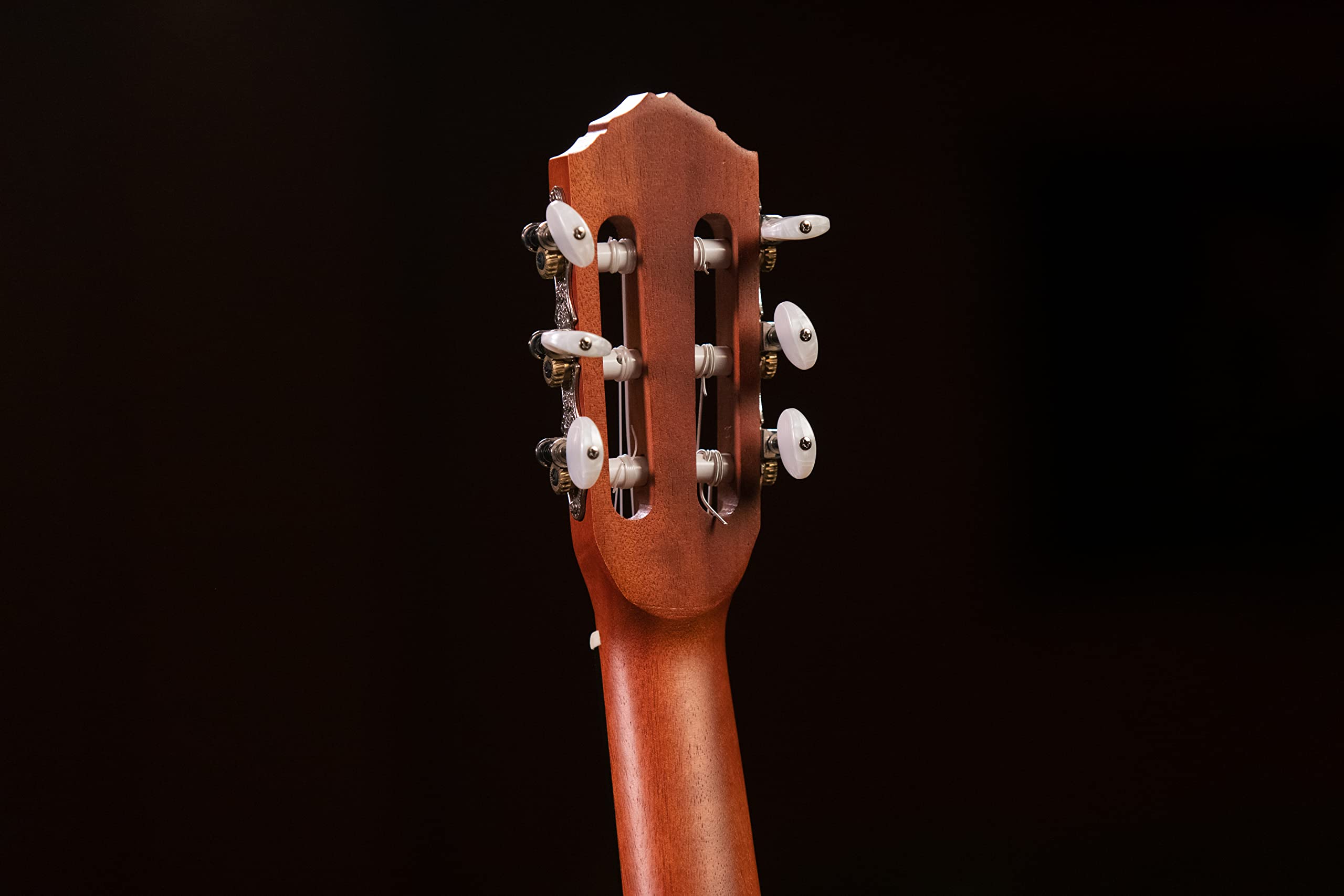 Ortega Guitars Travel Guitar elettro-acustica - Mini/Travel Series - Guitarlele 6 corde - top in abete con motivo disegnato a laser (RGL5CE)