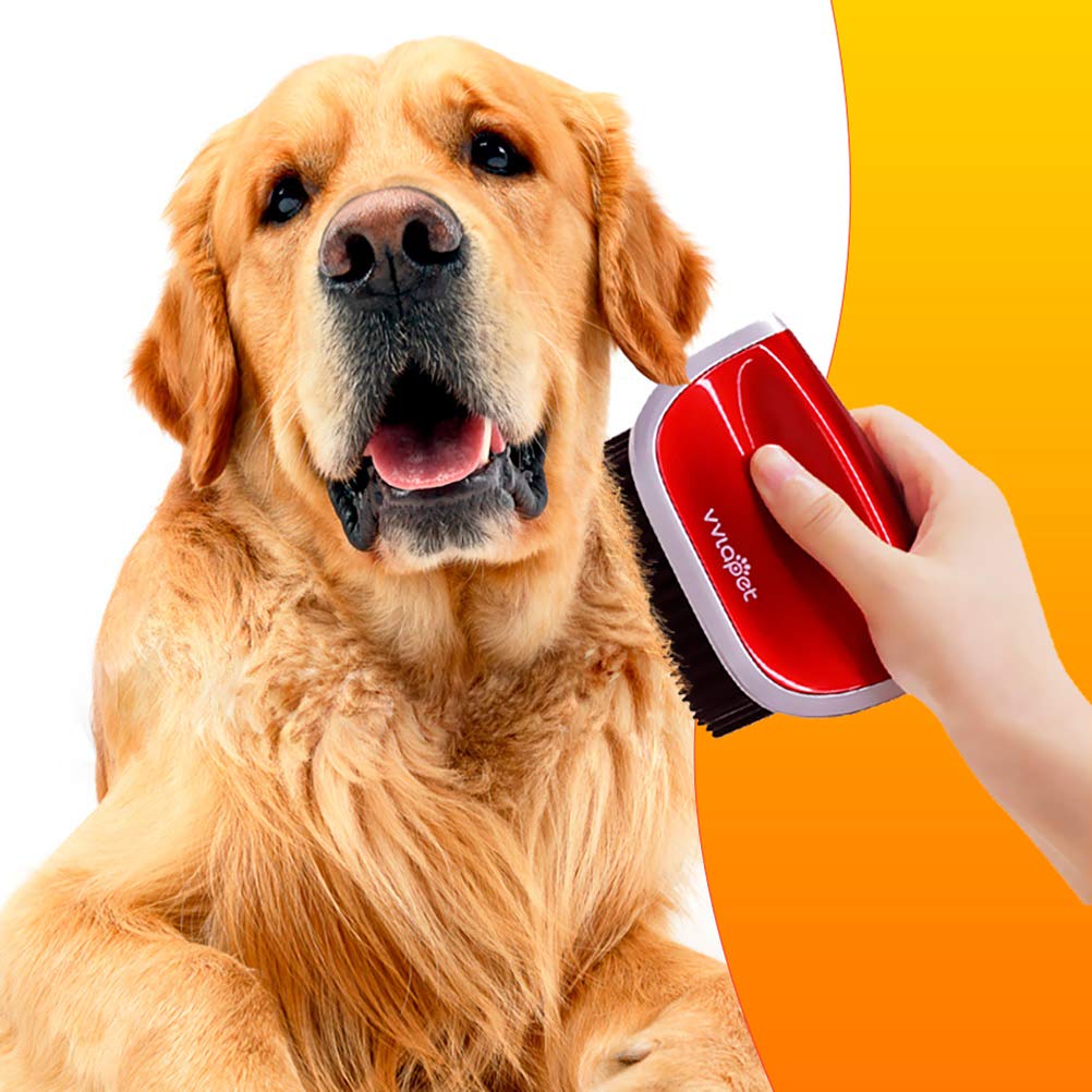Amazon.com: Giftable World VVLAPET Heated Dog Brush Pet Hair