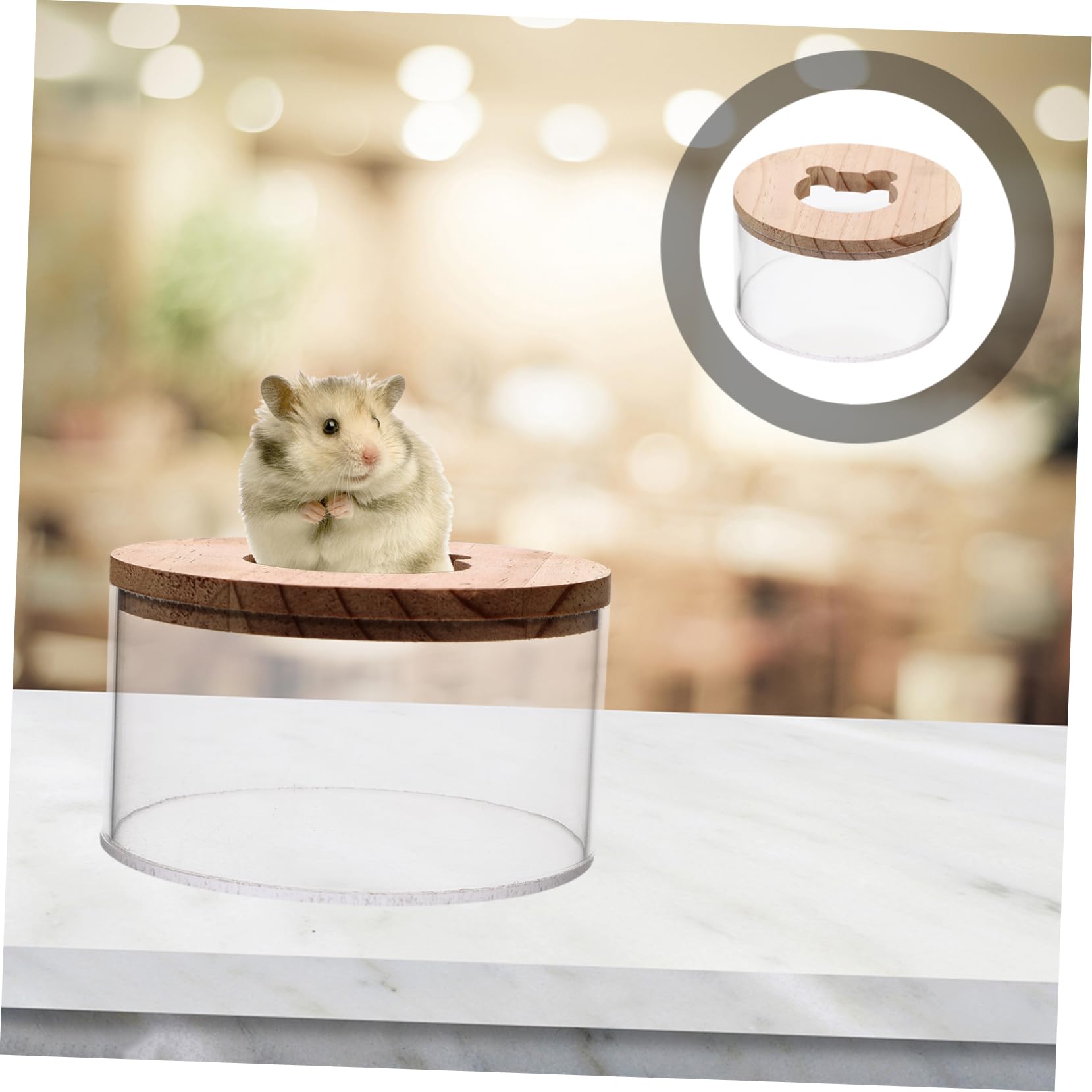 2stücke Cage Bath Box Für Hamster Und Chinchillas Wiederverwendbare Transparenter Für Kleintiere Leicht Zu Reinigen Lagern Für Kleine Haustiere