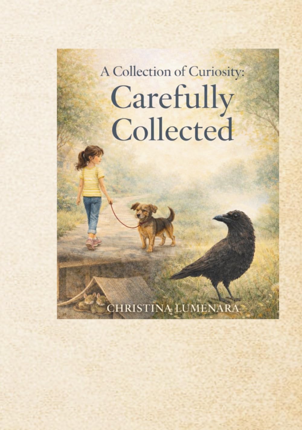 A Collection of Curiosity: Carefully Collected
