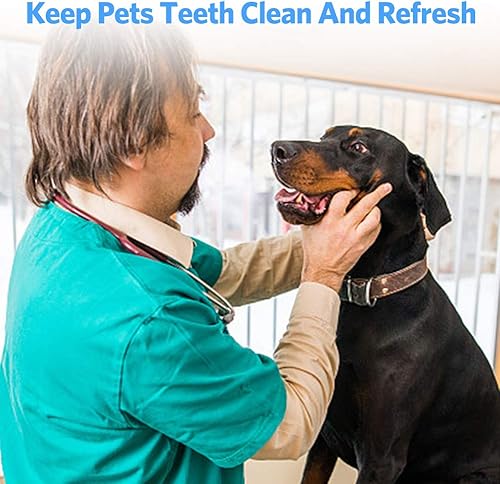 Miniatura 6 de Herramientas dentales profesionales, herramientas de limpieza de dientes de acero inoxidable para dentista, uso personal, mascotas, kit de higiene