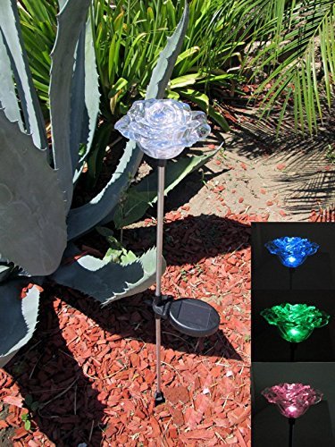 Exquisite Rose Flower Solar Garden Color Change Light Set of 2