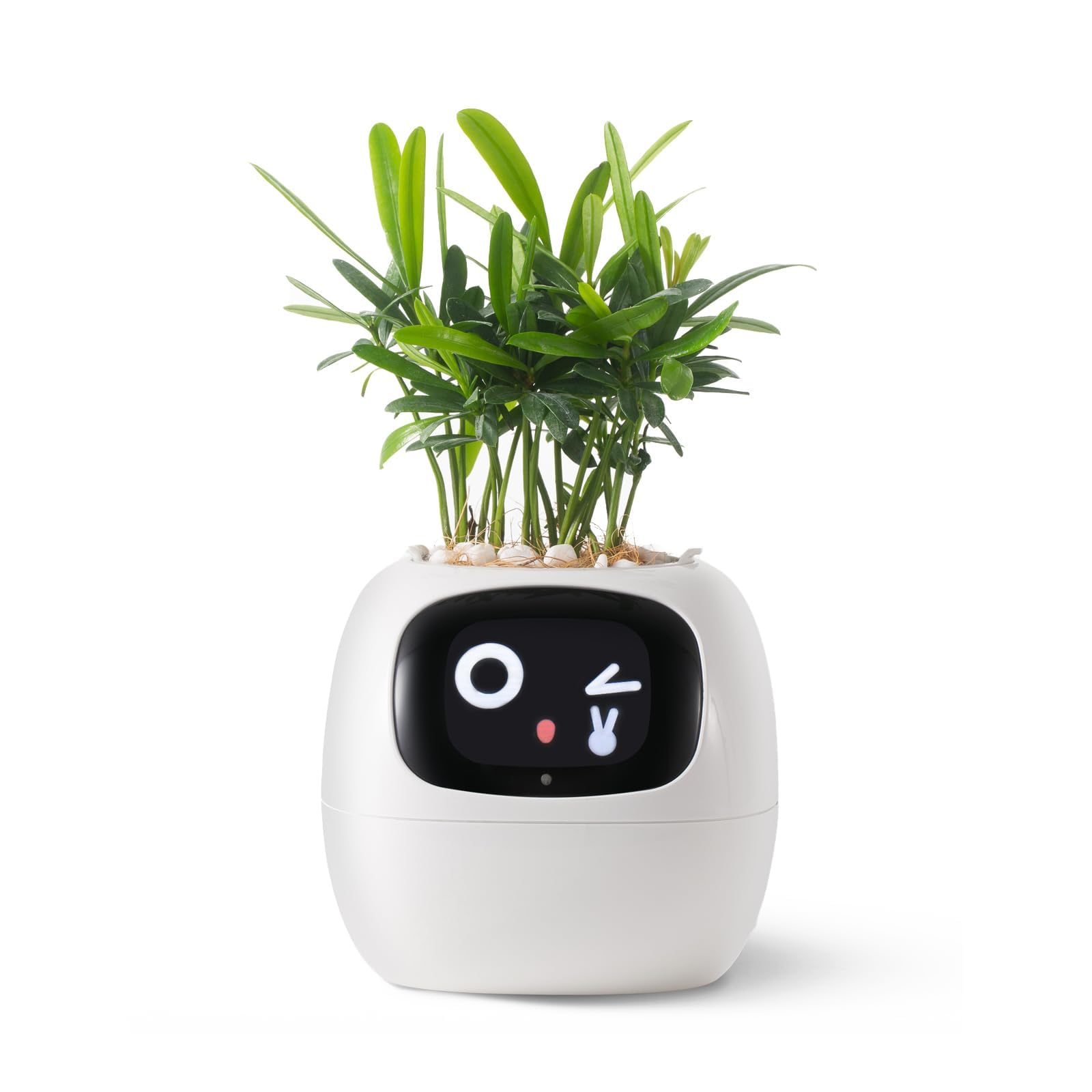Amazon.co.jp: PLANTSIO スマートペットプランター AI搭載スマート花瓶