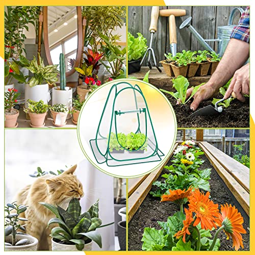 Fuairmee Pop Up Greenhouse Cover, Mini Greenhouse PVC Gardening Plant 2-Pack, Portable Small Green House for Indoor Outdoor, Sunshine Room Backyard Flow - Image 6