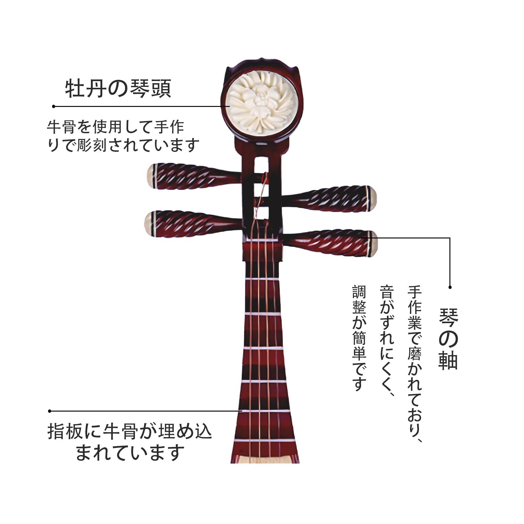 琵琶 弦楽器 ケ―ス付き お得セット