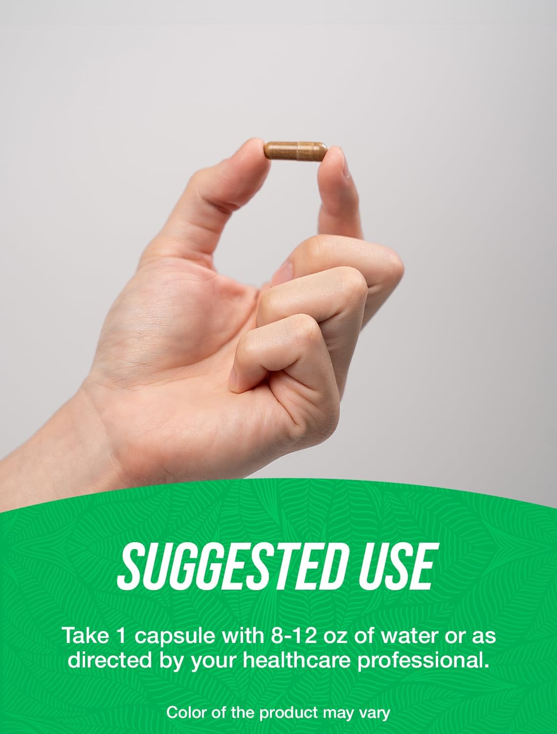 BulkSupplements.com Echinacea Extract Capsules - Echinacea Supplement, Echinacea Capsules 500mg - Immune Support, Gluten Free, 1 Capsule per Serving, 240 Capsules (Pack of 1) - Image 4