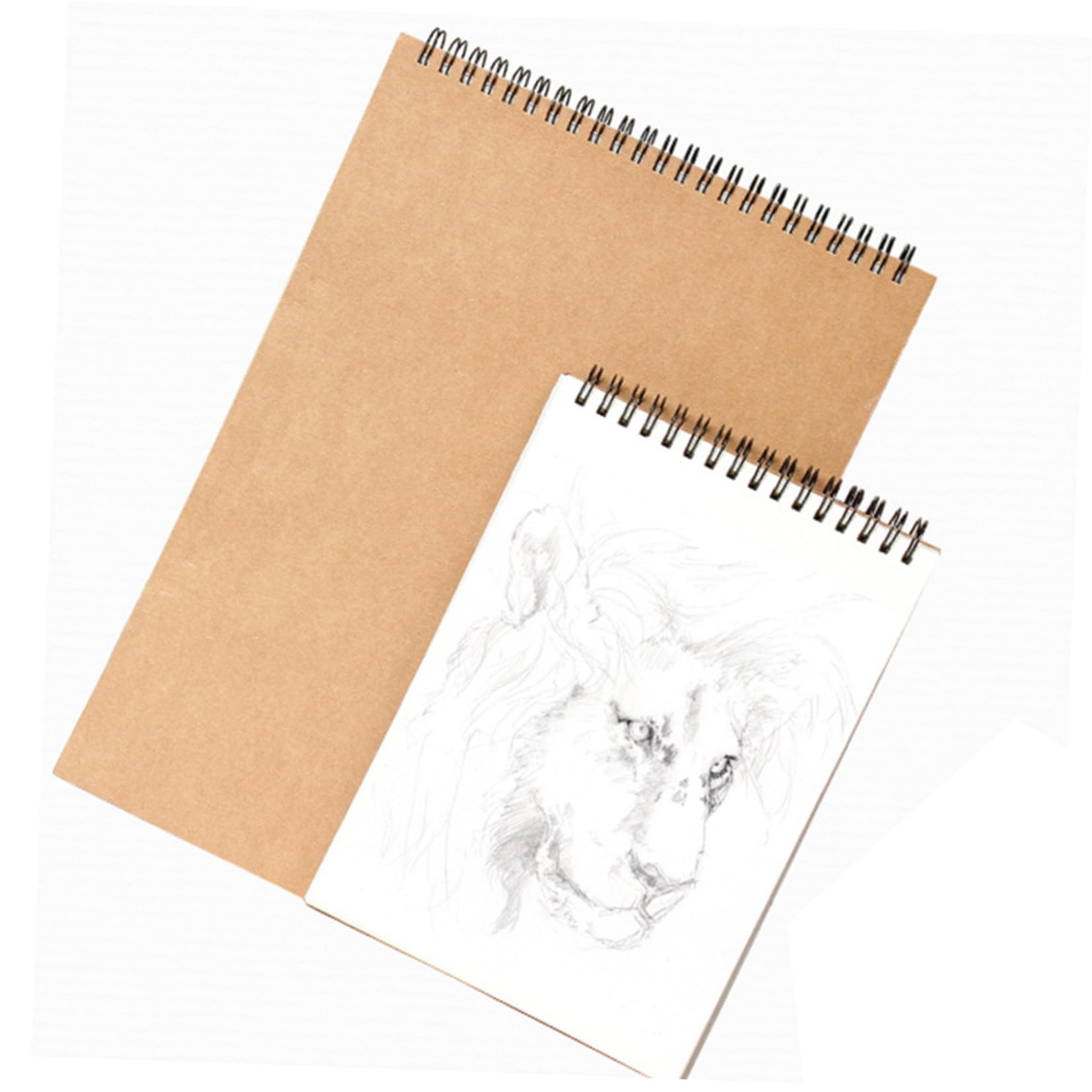Hohopeti 1pezzi Sketch Book Spirale Per Schizzi e Disegni Taccuino Creativo Per Pittura Adatto Per Casa Scuola e Ufficio Facile Da Trasportare e Utilizzare