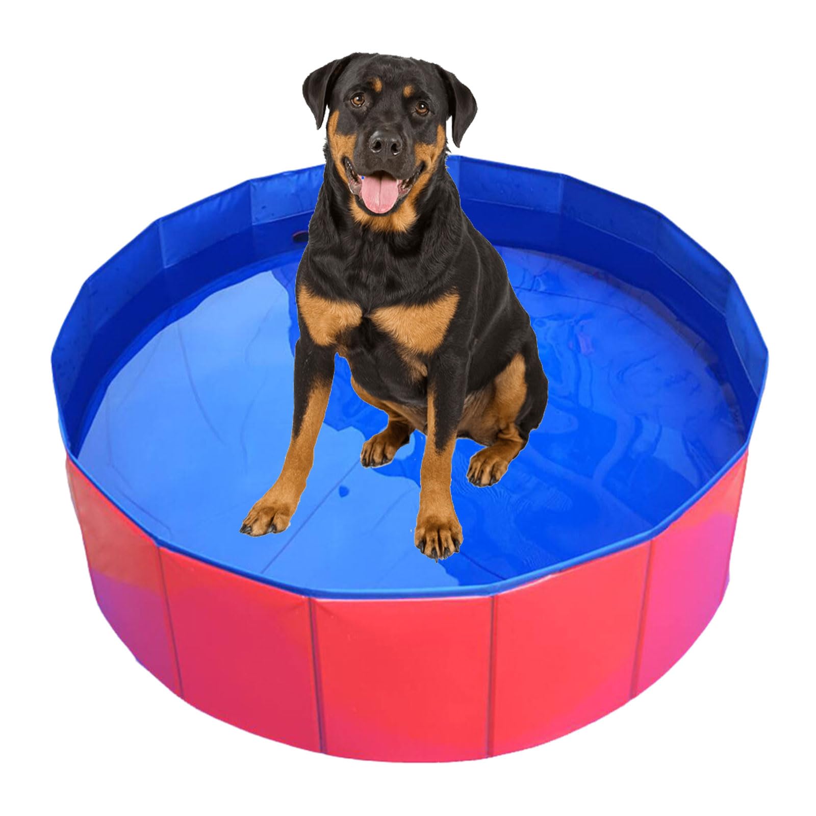 Piscine pliable pour chien, chiot et chat, avec valve d'eau, pour animaux de compagnie, enfants, jardin, plage, jardin, cour, 60 x 60 x 20 cm, rouge et bleu