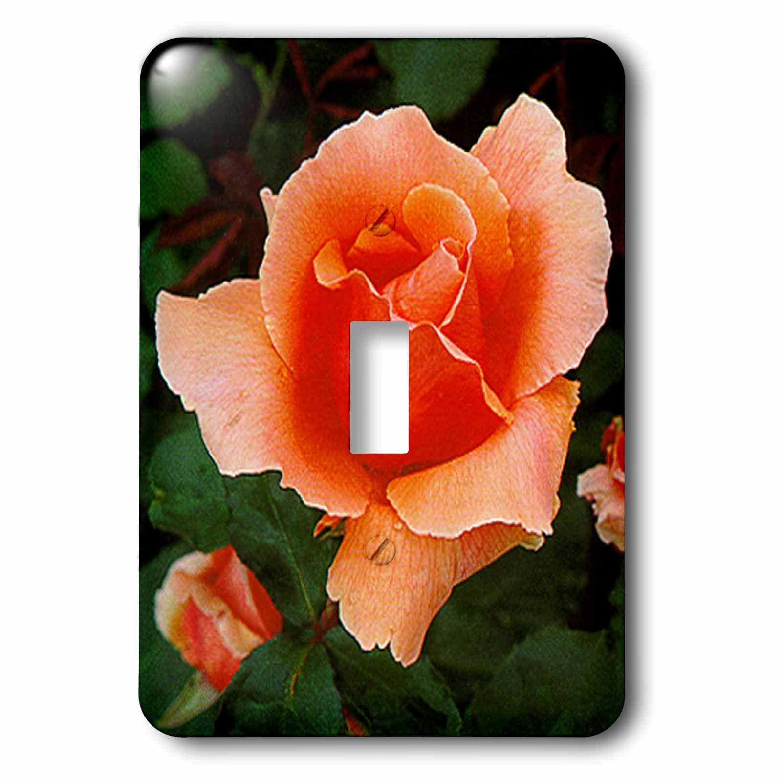 Interrupteur à bascule simple 3dRose LLC Lsp_715_1 pour remplacer un bouton coincé ou usé