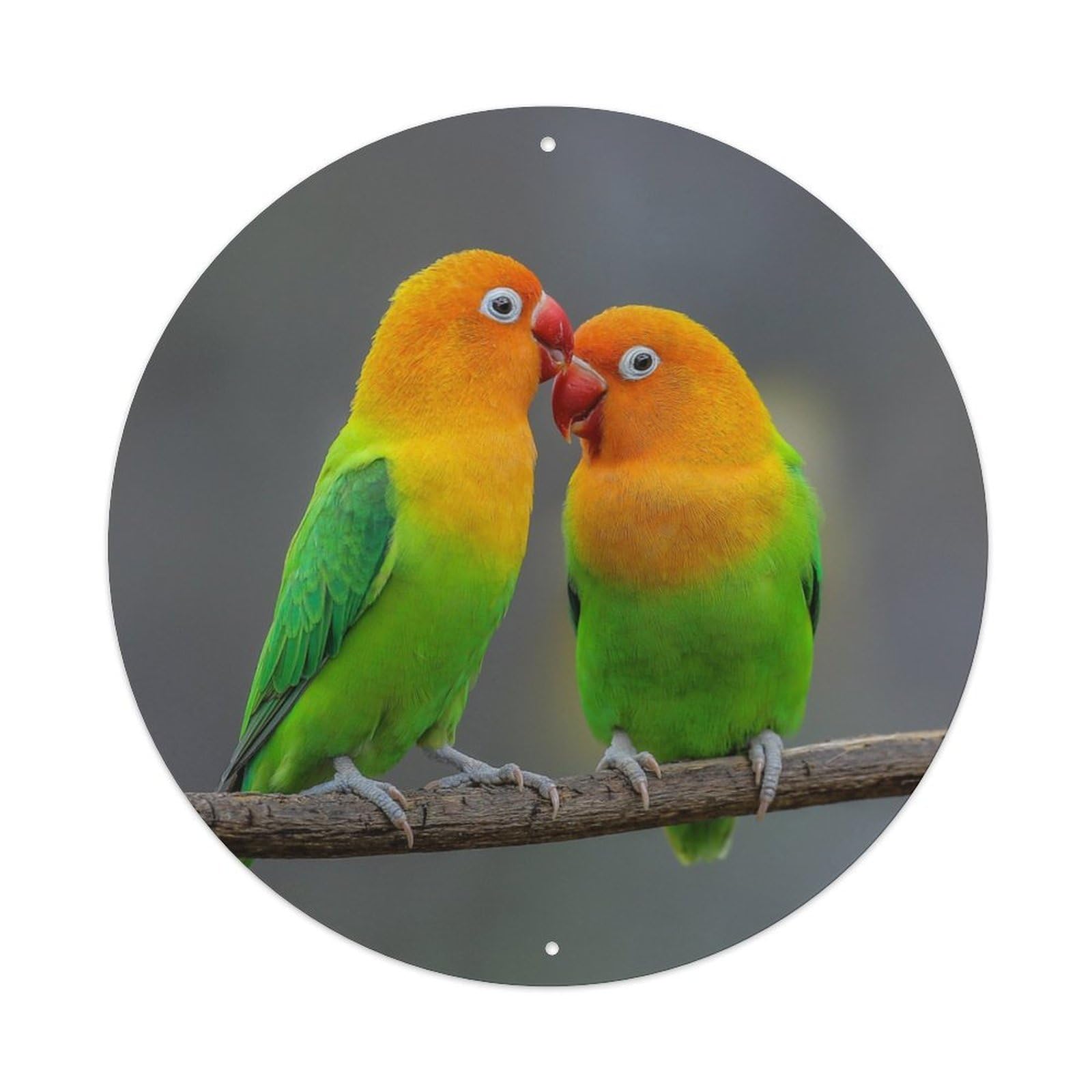 Animal Bird Brown-headed Peony Parrot Metal Tin Sign