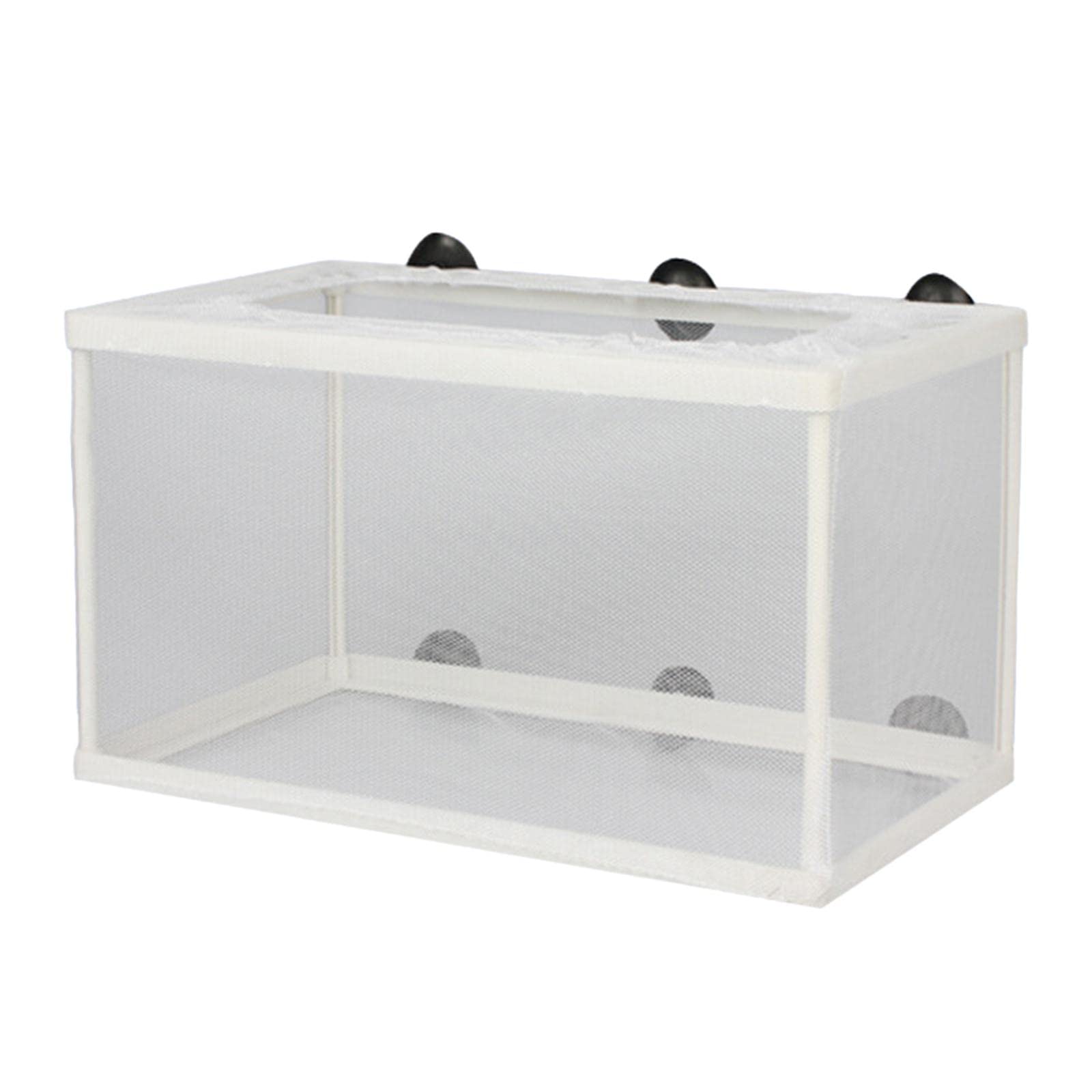 Enakshi (LABEL) Fish Breeder Box Aquarium Breeding Isolation Net For Newborn Fry Guppy|Pet Supplies|Fish & Aquariums|Other Fish & Aquarium Supplies (B0D35W6KFM) Amazon Price History, Amazon Price Tracker