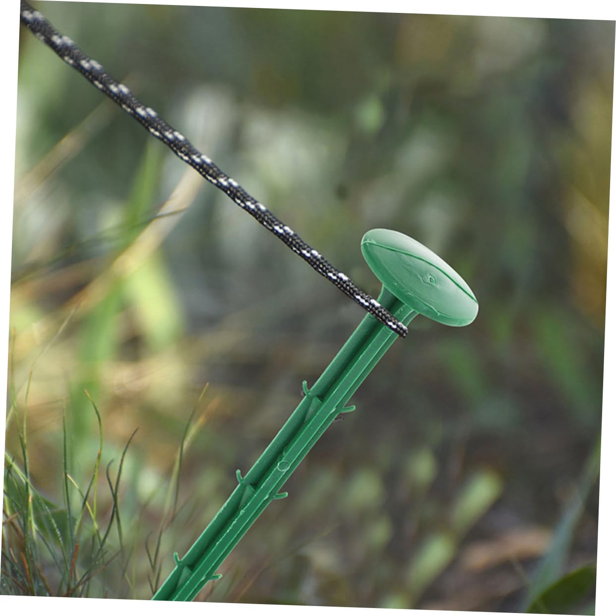 Piquet de Tente de Serrage en Plastique Vert 150 Pièces pour Jardin