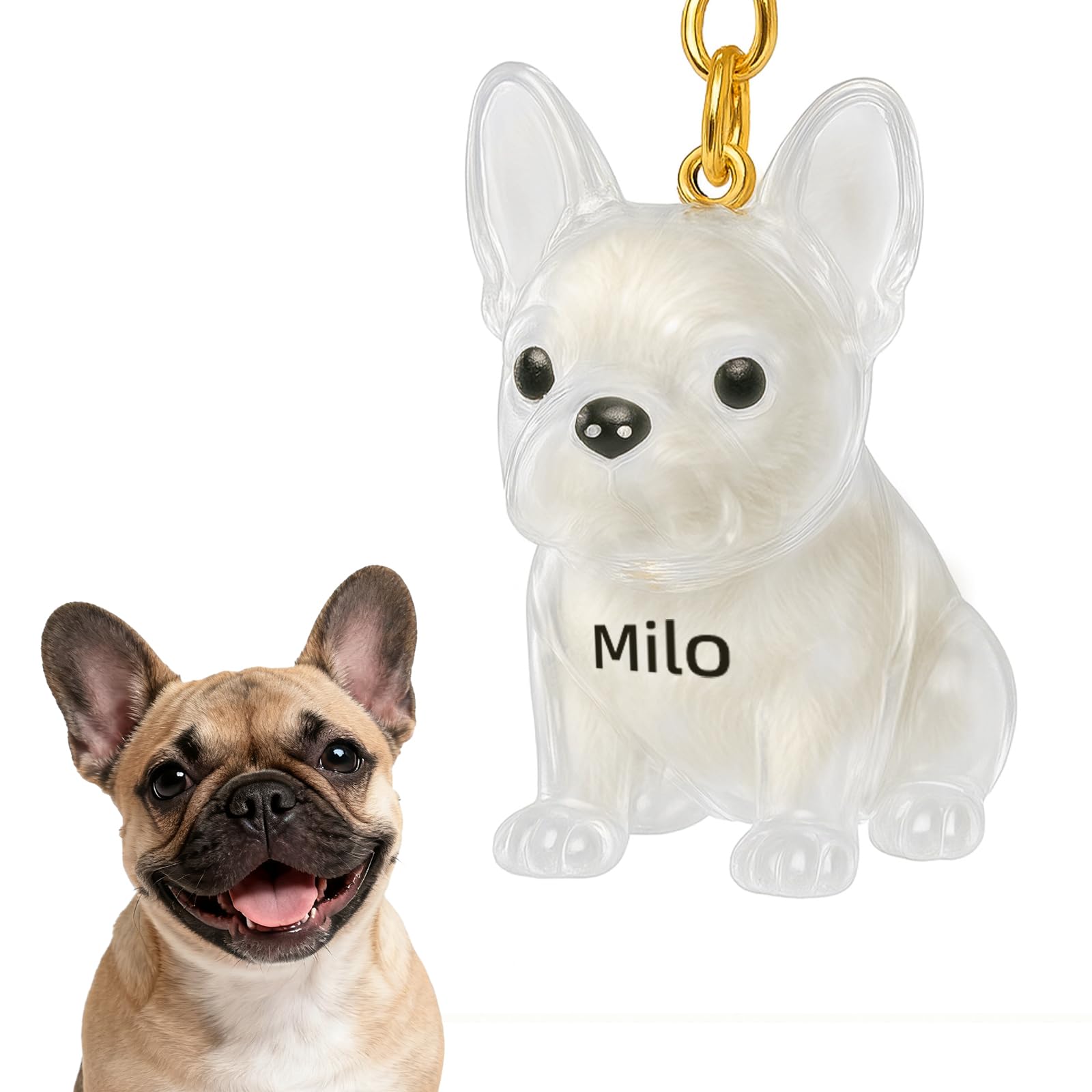 VEELU Dog Hair Collector Keychain Charm Memorial Storage Box - Custom Dog Hair Keychain with Name - Personalised Pet Fur Keepsake - Customised Dog Memorial Gifts for Loss of Dog