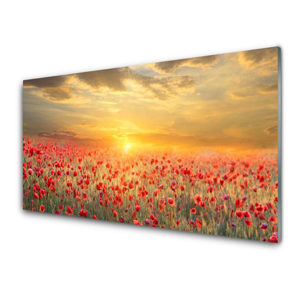 Tableau mural moderne fleurs rouge impression sur verre trempé 100x50cm