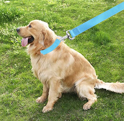 Taian 5 Ft Strong Dog Leash, Nylon Dog Leashes For Small Medium Large Dogs Blue #TOP6