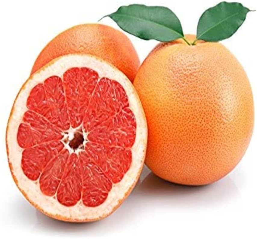 Fresh Premium Grapefruit, (Pack of 2)