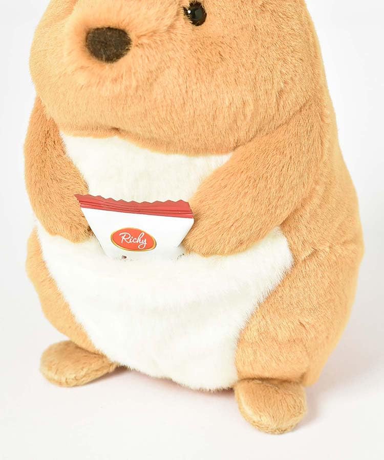 Amazon.co.jp: Bleu Bleuet ブルーブルーエ オーストラリアのどうぶつ