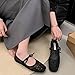 Women's Embroidery Lace Mesh Ballet Flats, Elegant Square Toe Flat Shoes for Party, Fashionable Daily Clothing Decor, Lightweight Breathable Comfortable Shoes for Women & Girls, Footwear (black,8)