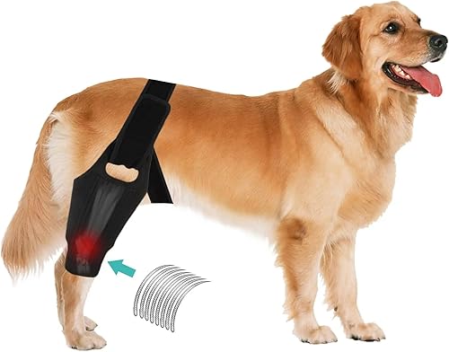 Miniatura 6 de Rodillera para perro para lesiones de ligamento cruzado anterior y ligamento Soporte ajustable para la pierna trasera y envoltura de compresión