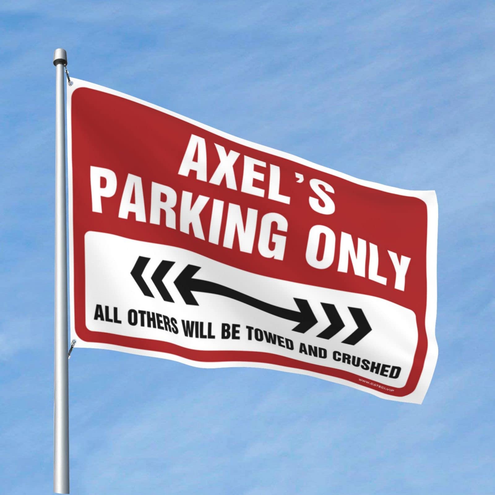 Drapeau décor de salle de jeux Axel's Parking Only pour mur de dortoir - 6