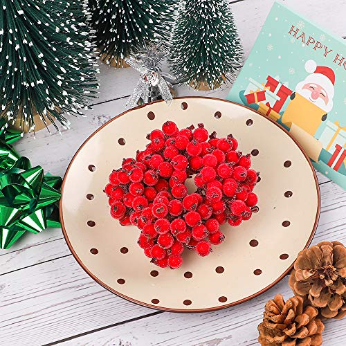 SERONLINE, 400 Teste di Bacche di Agrifoglio