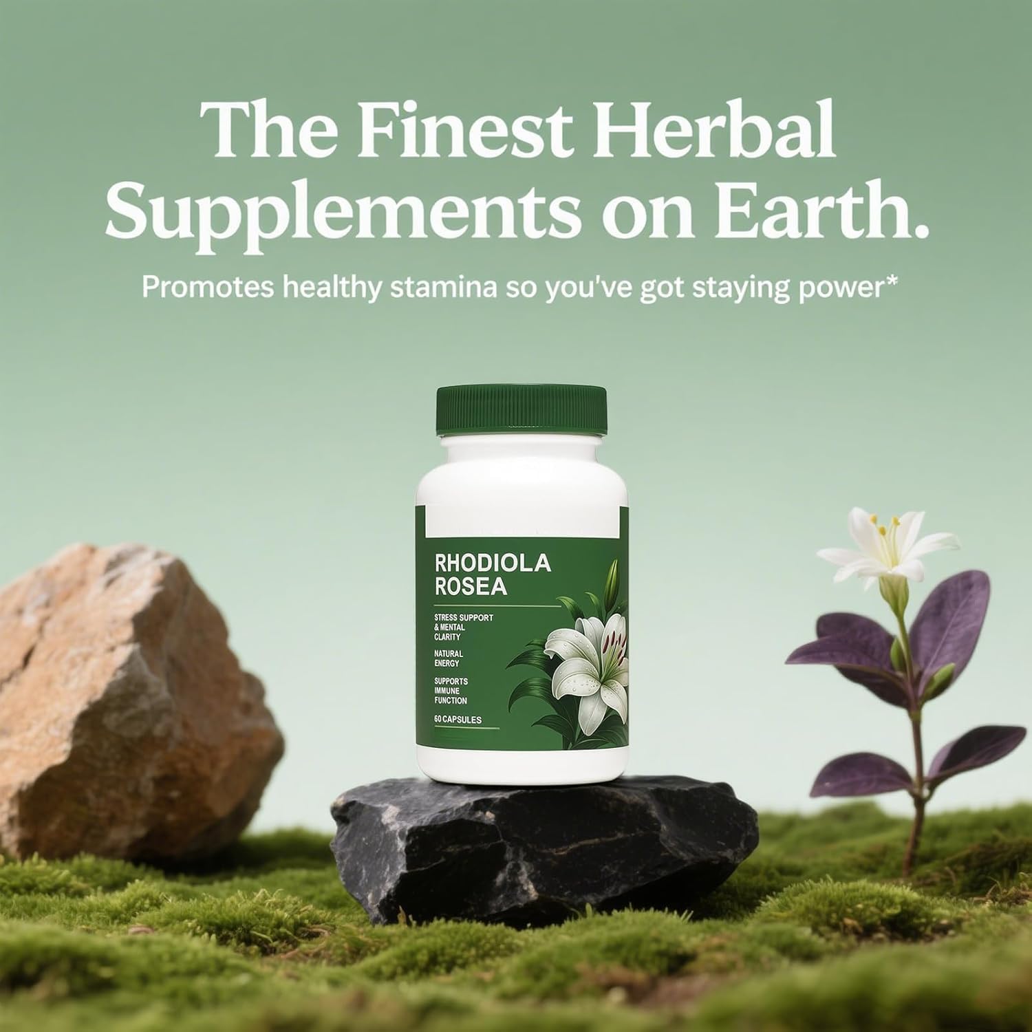 Rhodiola Rosea - Erba adattogena - Supporto per cervello, stress e umore - Miscela naturale - Non OGM