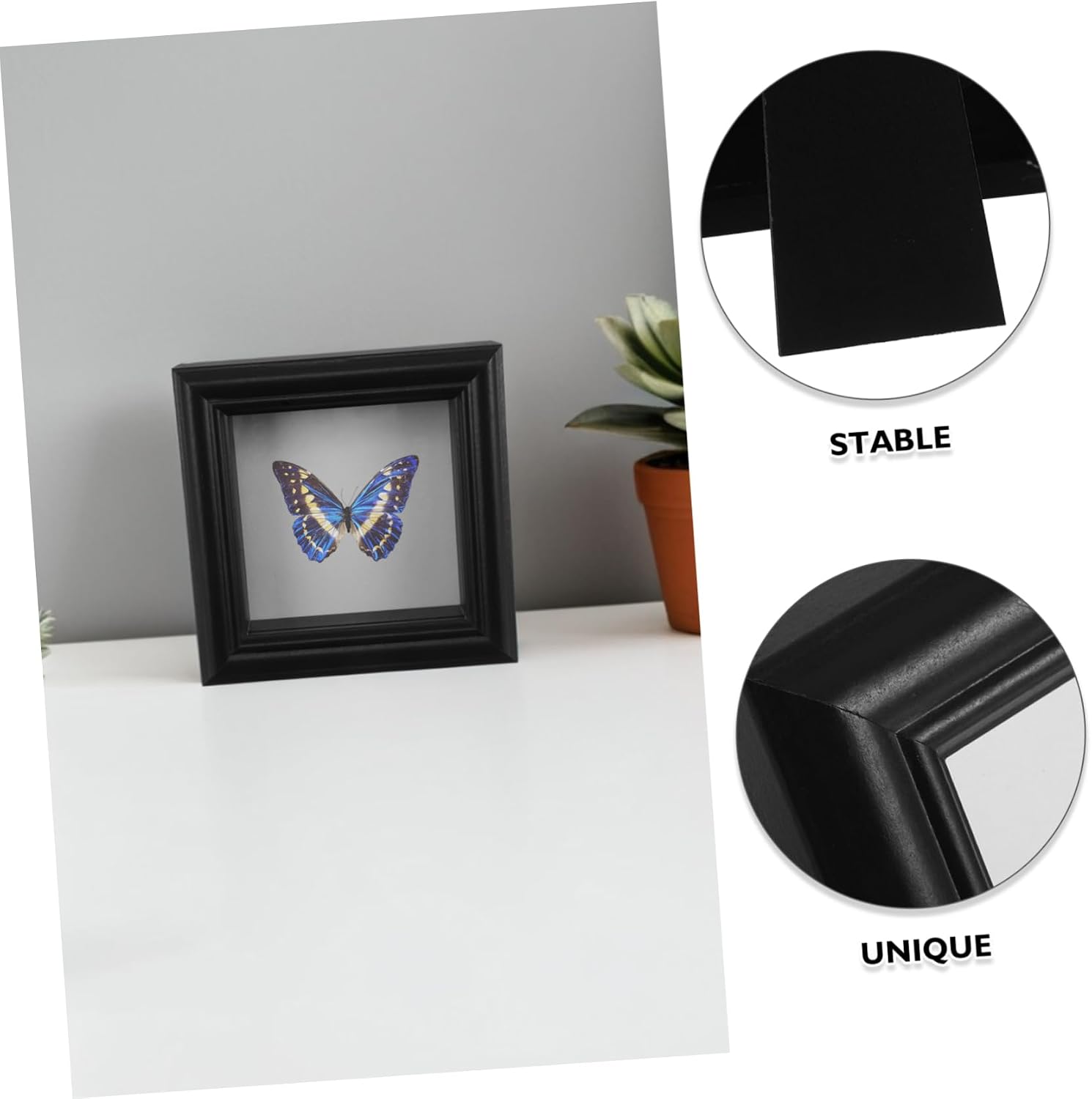 Butterfly Collection Box for Tabletop Decor DIY Friendly Hollow Design for Easy Specimen Replacement View of