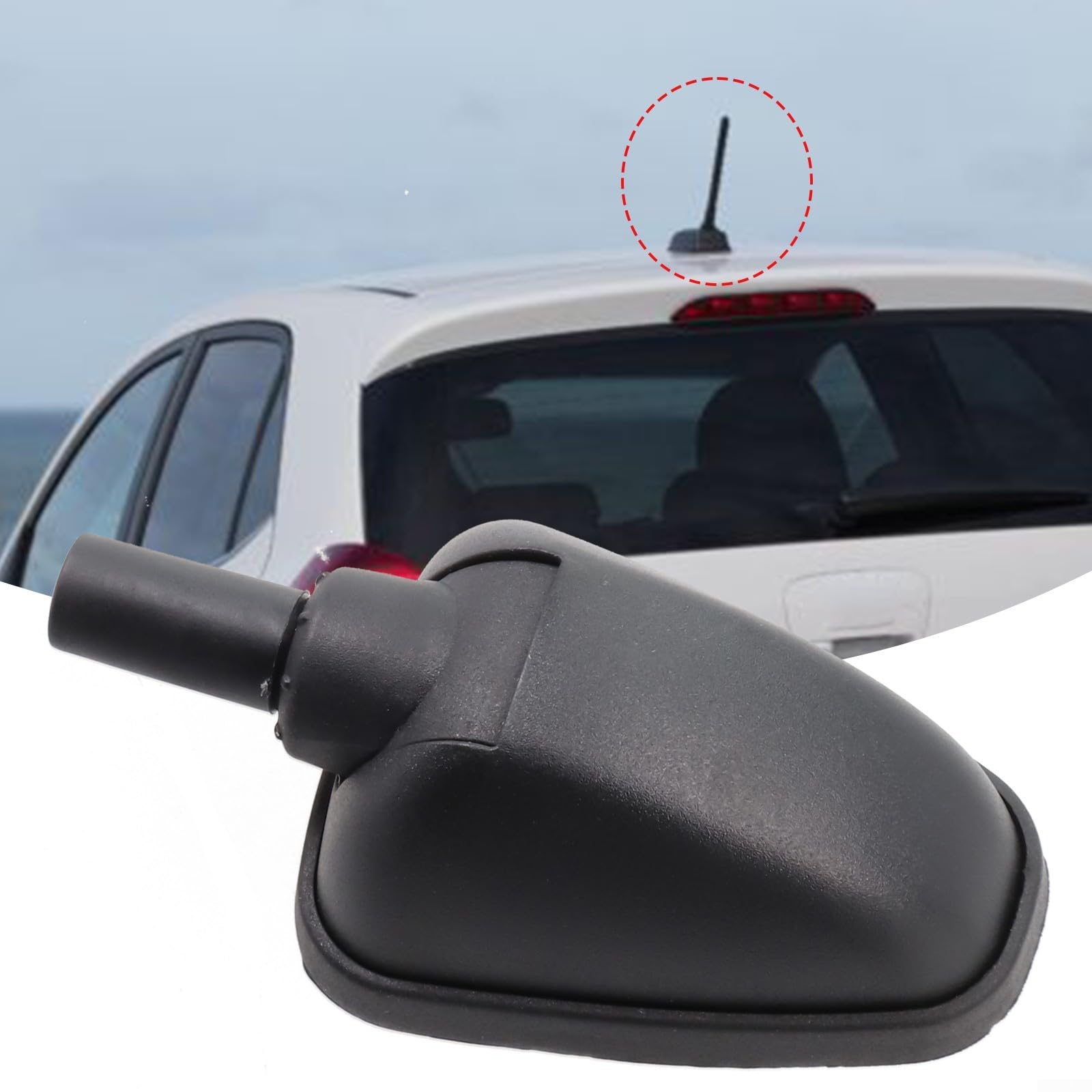 Gruppo antenna per tetto, base per antenna antenna da tetto montata sul tetto per I10 per Picanto 96210-07010