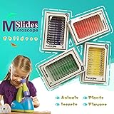 Typ: Tiere, Insekten, Pollen, Rhizom vier Sätze von Exemplaren.