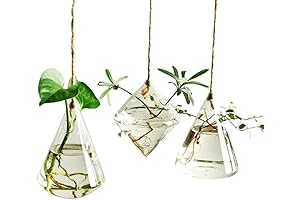 Indoor Outdoor Glass Hanging Planters – Bringing Nature Closer