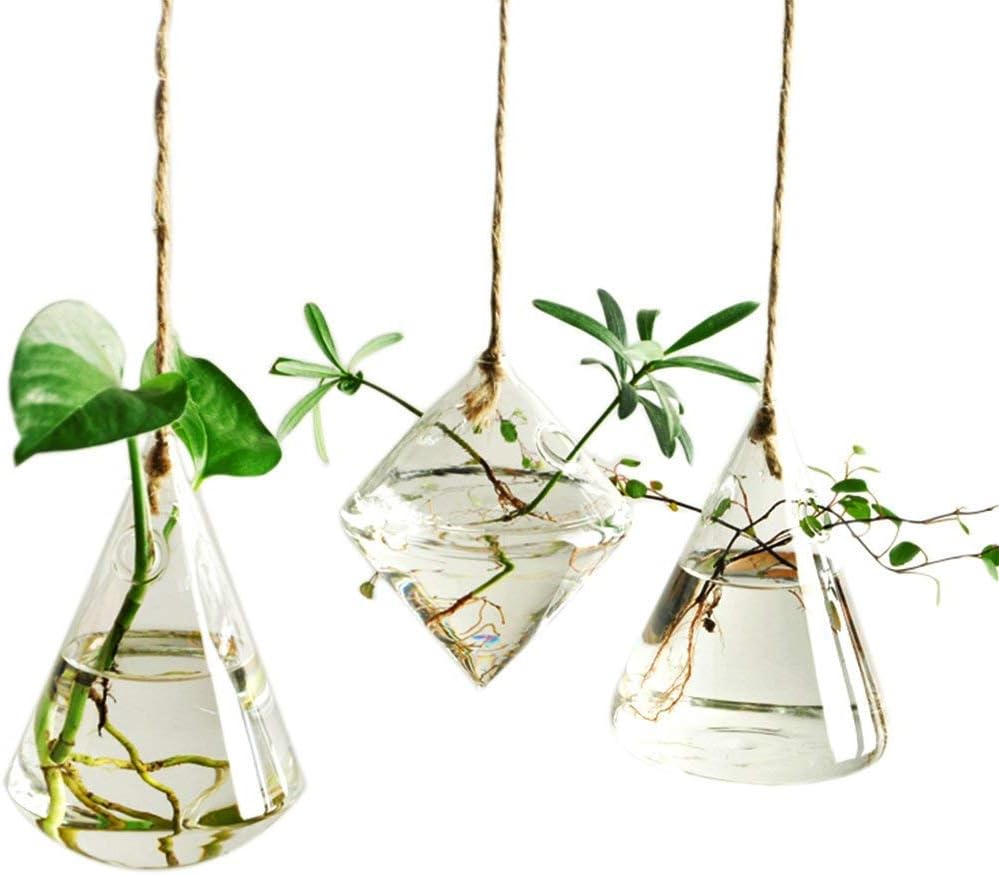 Fashionstorm Glass Propagation Station Wall Hanging Glass Planters Wall Flower Vases Glass Terrariums Glass Plant Hanger Wall Vases 3 Pieces Indoor Hydroponic Decor