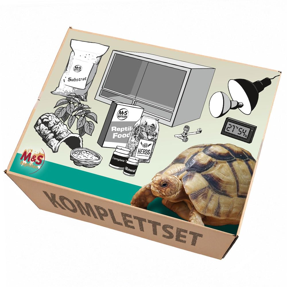 Komplettset: Für Landschildkröten Terrarium mit Holz-Terrarium