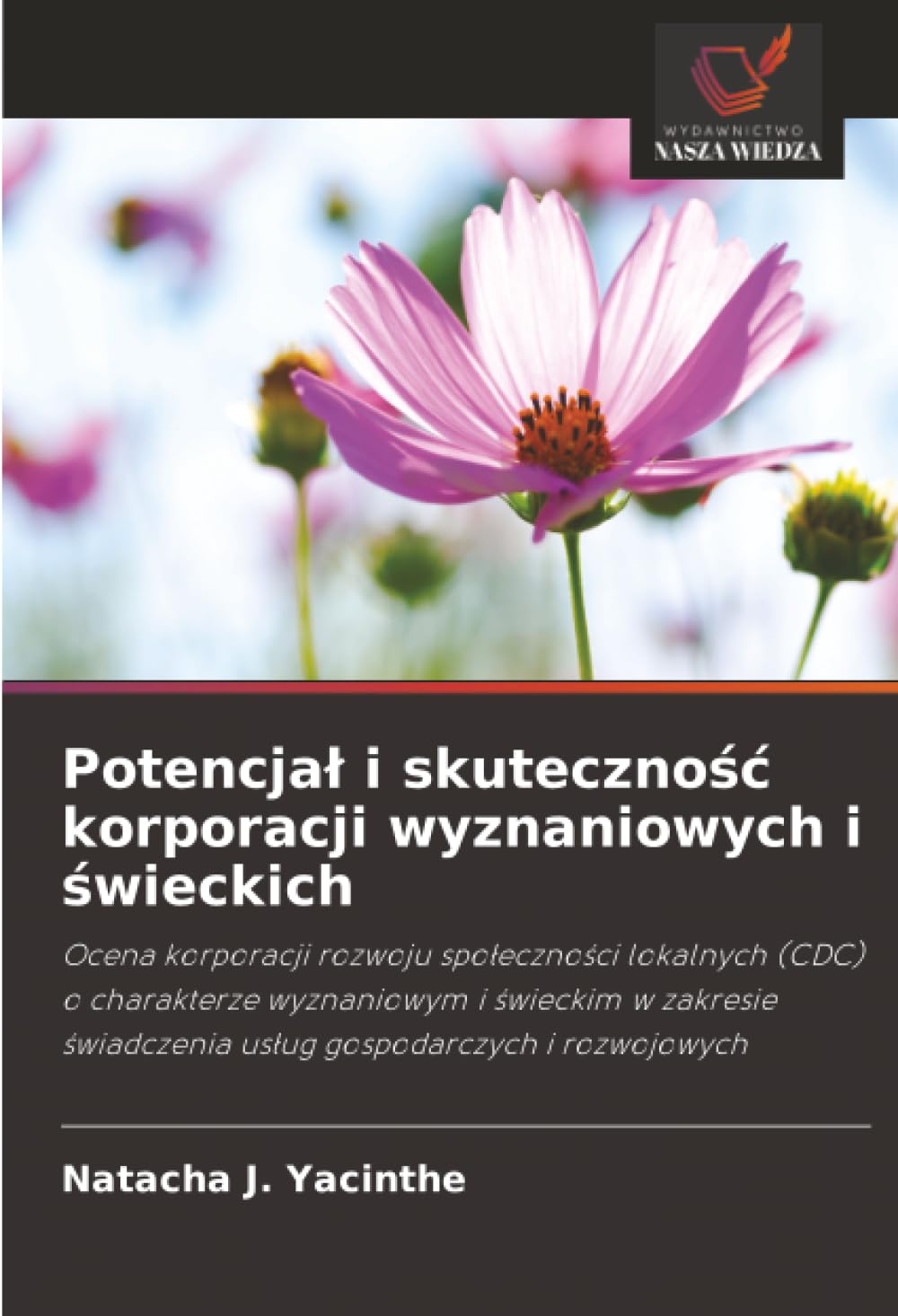 Potencjał i skuteczność korporacji wyznaniowych i świeckich: Ocena korporacji rozwoju spo¿eczno¿ci lokalnych (CDC) o charakterze wyznaniowym i ... ¿wiadczenia us¿ug gospodarczych i rozwojowych