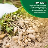 Vista 4 de Hampton Farms - Crecido en EE. UU. 100% Natural - Maní Salado Tostado Elegante en Cáscara - Bolsa de 10 oz