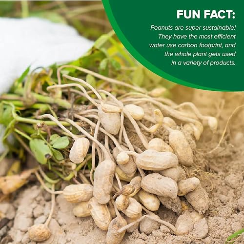 Miniatura 4 de Un artículo de cacahuetes sin sal de Hampton Farms (5 libras)  Paquete de 1  Disco a granel (St f w)