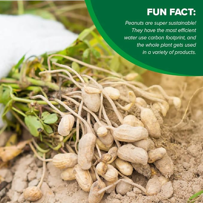 Mantequilla de Maní Cremosa Natural Hampton Farms 18 oz miniatura 4