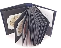 Vista 6 de Crabby Ishihara - Cuadro de pruebas para la deficiencia de color, 38 platos, última edición con manual de usuario