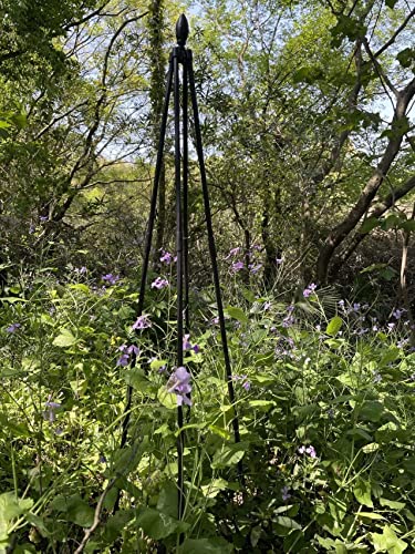 5.2 Ft Garden Trellis Rose Frame Garden Plant Support Obelisk Trellis Flower Arch Trellis Plant Support Stake #TOP3