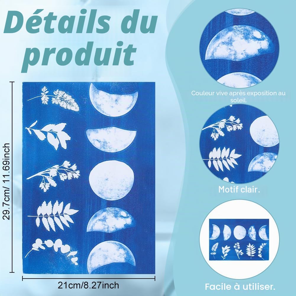 WEBEEDY 40 Kit Cyanotype Comprenant 30 Feuilles de Papier A4, 10 Signets, 2 Composants Sensibilisants, Pinceaux et Instructions pour la réalisation de Plans Photographiques.