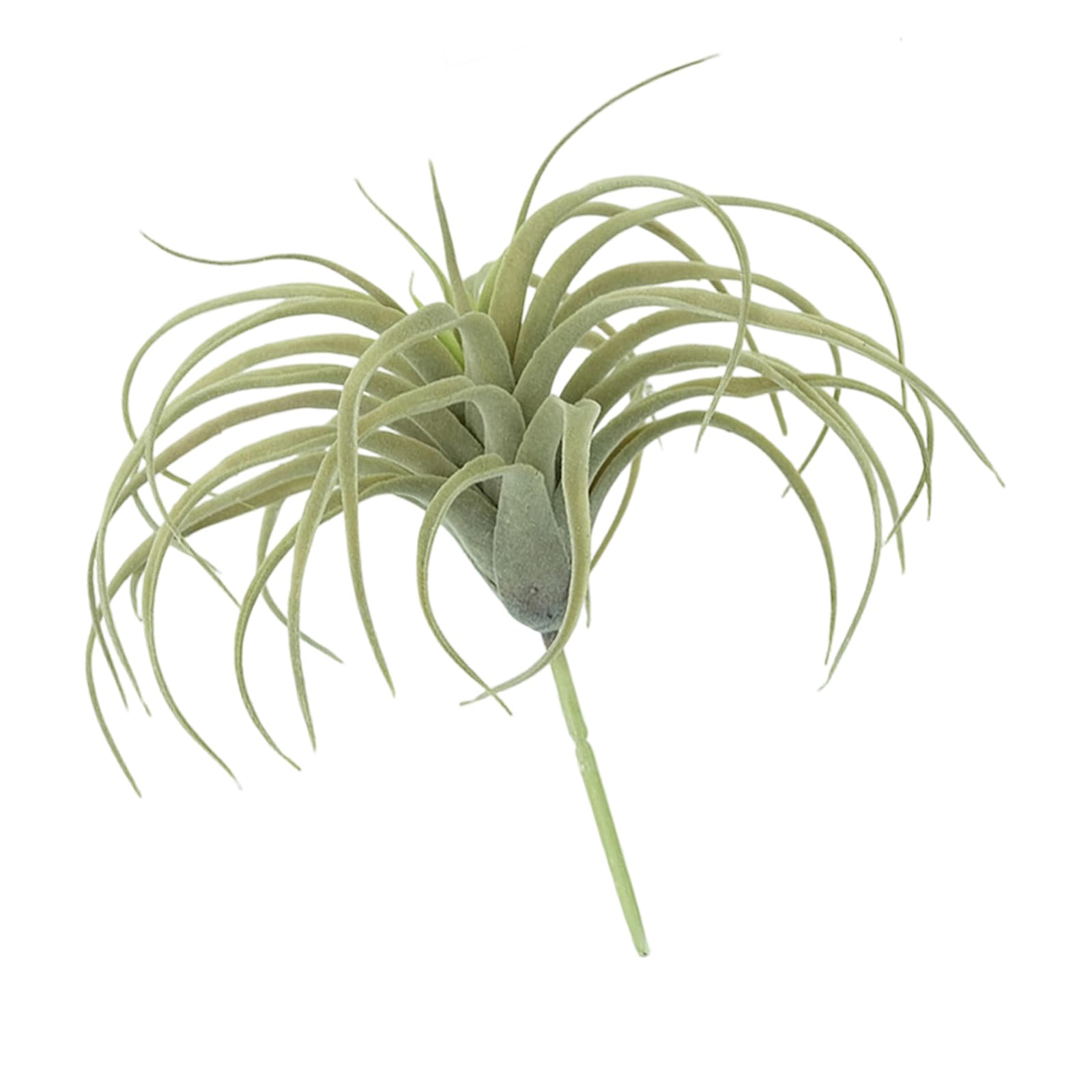 Mekalero Realistic Artificial Air Plant Greeneries Tillandsia Succulents for Home Offices Desk Shelf Decoration Display Accessory Air Plant