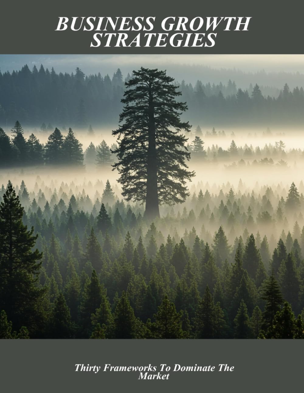 Business Growth Strategies: Thirty Frameworks To Dominate The Market