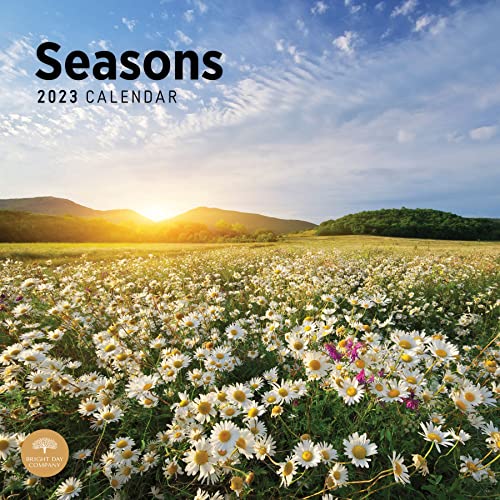 Bright Day Calendrier mural 2023 pour toutes les saisons, 30,5 x 30,5 cm Cover
