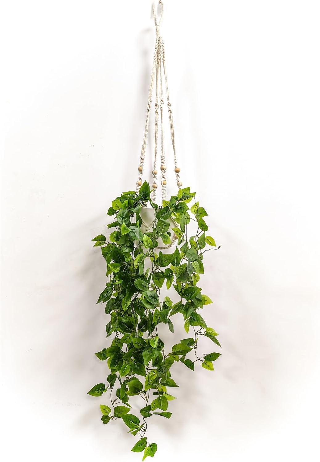 small plants for a terrarium Tiny Air Plant Terrarium Kit – The Artizan Way main image 1