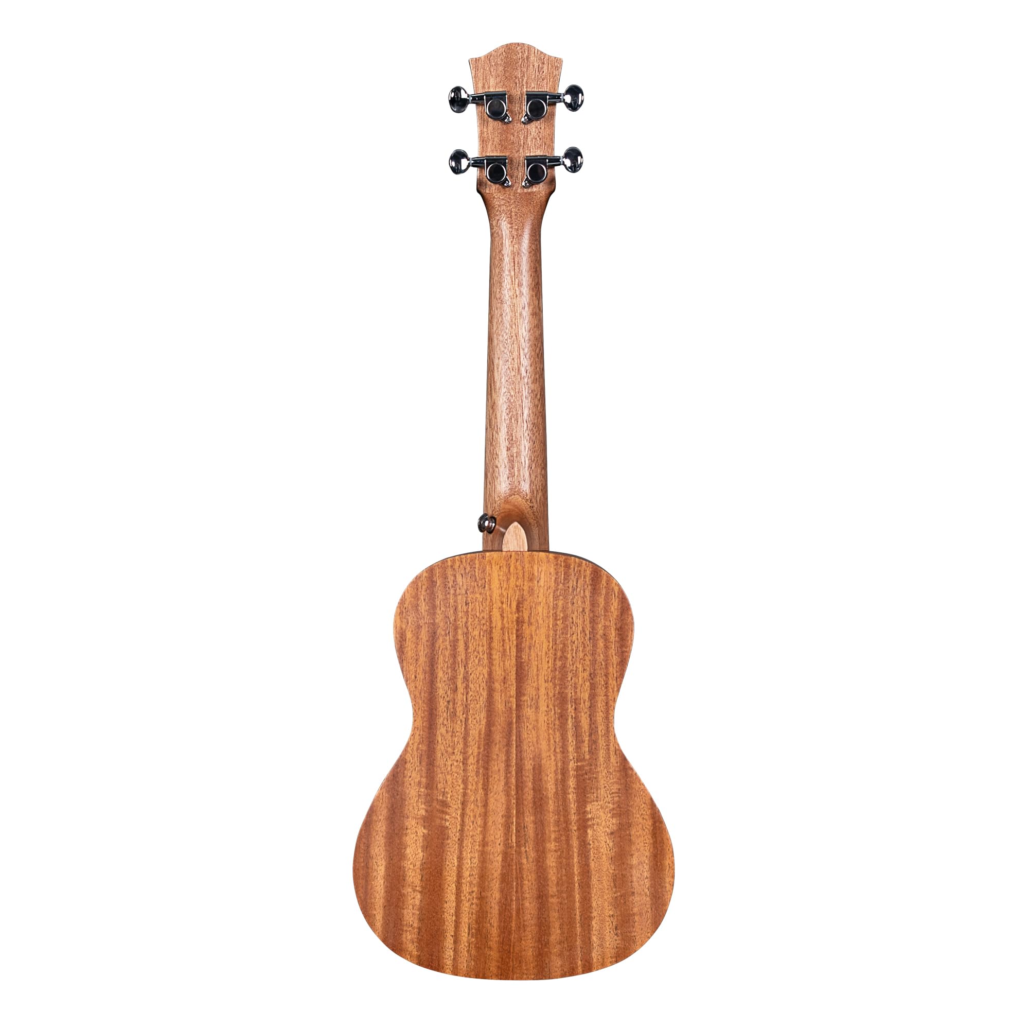 Concert Ukulele Art Series Sketch