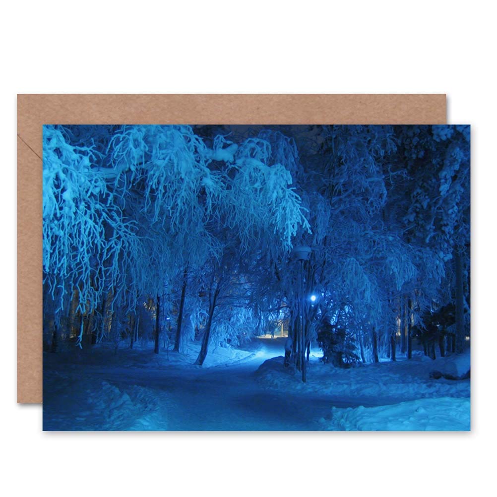 Wee Blue Coo BIRTHDAY PAINTING WINTER FOREST CROSSROADS ART GREETINGS GREETING CARD