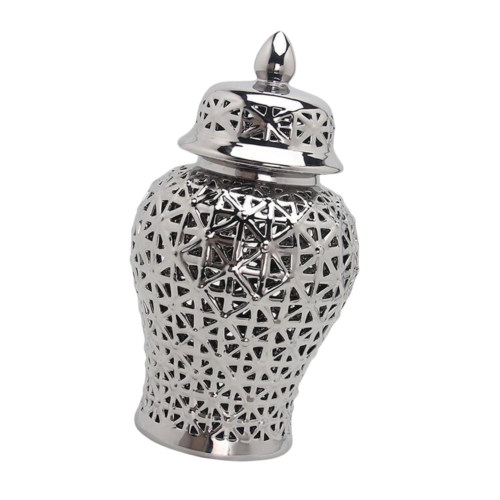 Zambuph Exquisite Porcelain Hollow Ginger Jar with Lid Temple Jar Organizer, Silver 19cmx36cm, S