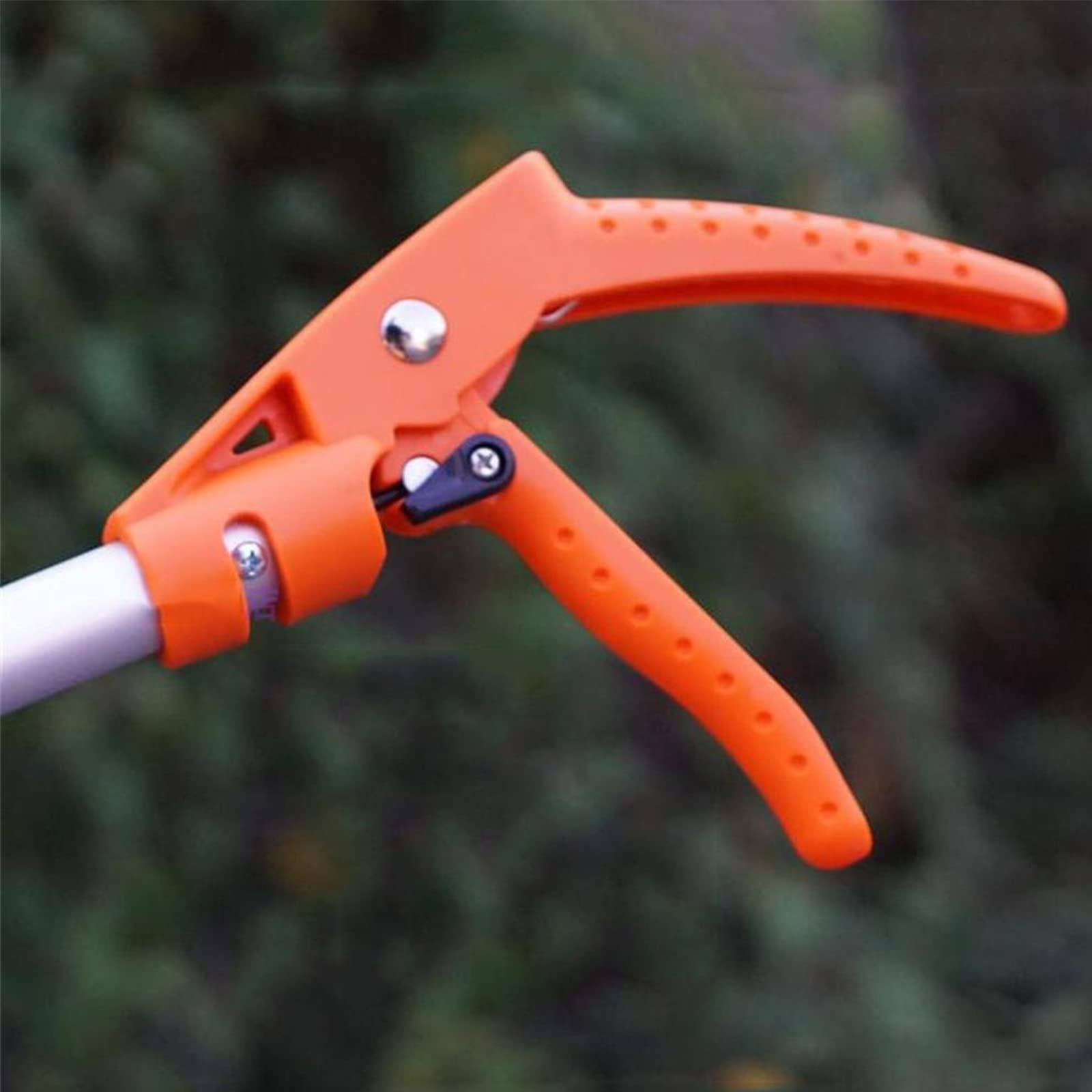 Podadora telescópica de derivación de poda – Recolector de frutas extralargo de 0,6 m y herramienta de corte de jardín para un corte y corte eficientes