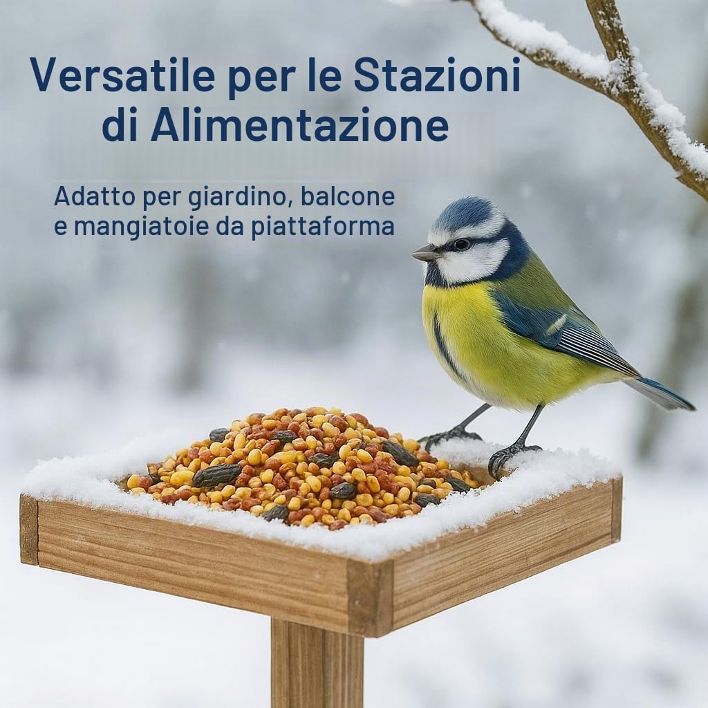 GiDeli Mangime invernale per uccelli, 25 kg, per uccelli selvatici, tutto l'anno, per giardino e balcone, con semi di lino, ricco di omega-3, calcio, senza additivi