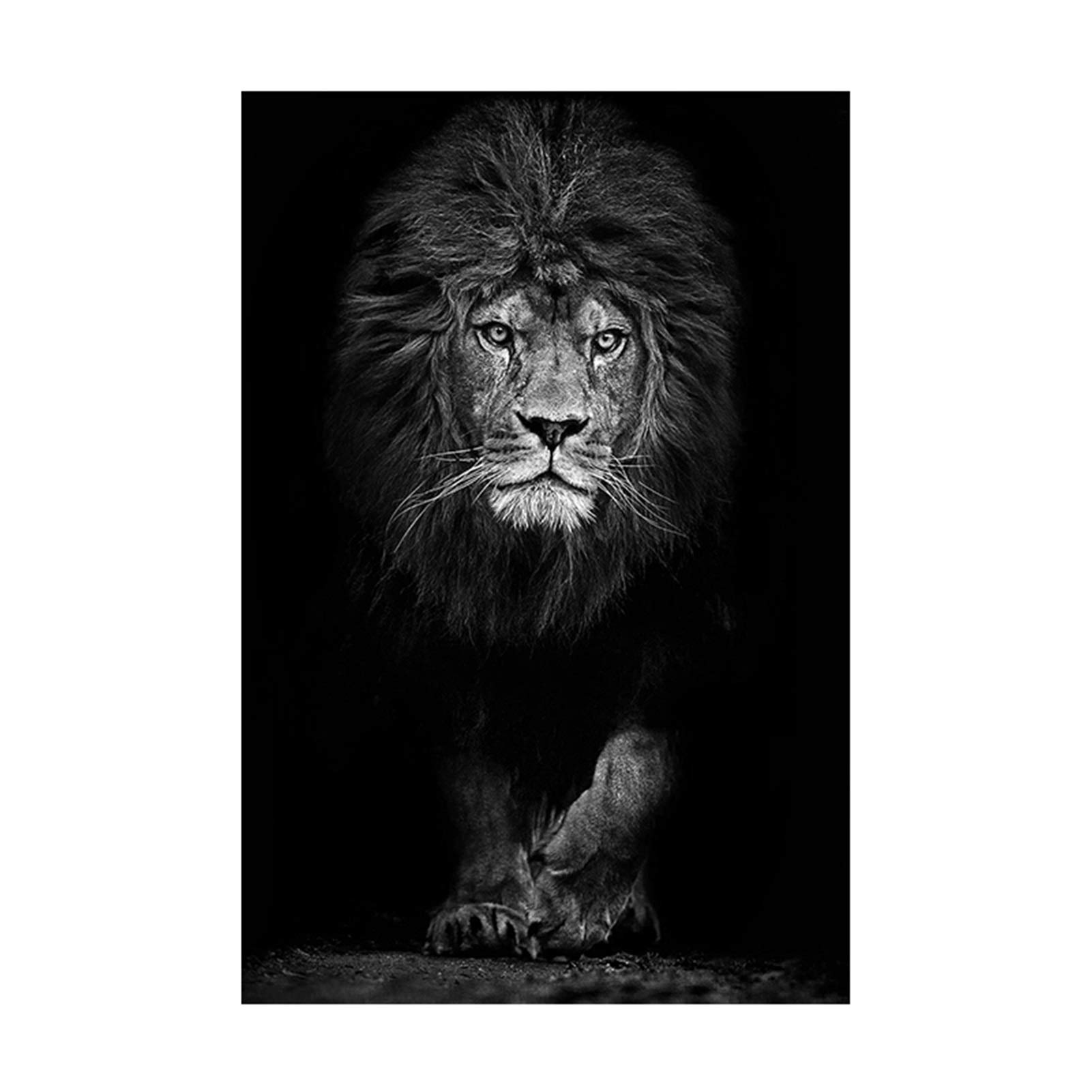 BAOZHENCanvas Painting Black and White Lion Animal Canvas Painting Posters and Prints Wall Art Wild Animals Pictures for Living Room Bedroom Decor (Color : DM975, Size (Inch) : 100x140cm Unframed)